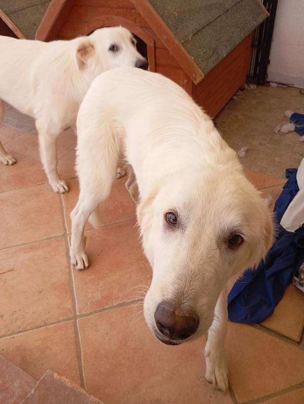 Giulia Foto 3