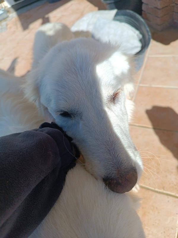 Giulia Foto 7
