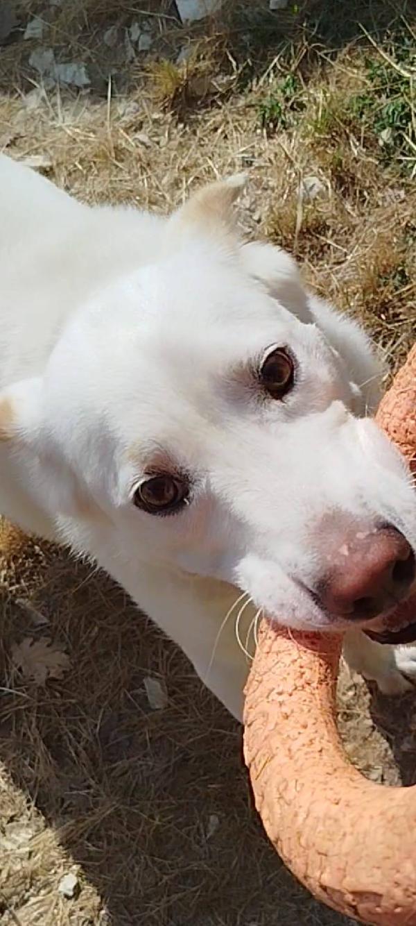 Casper Foto 1