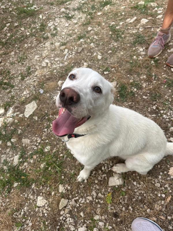 Casper Foto 4