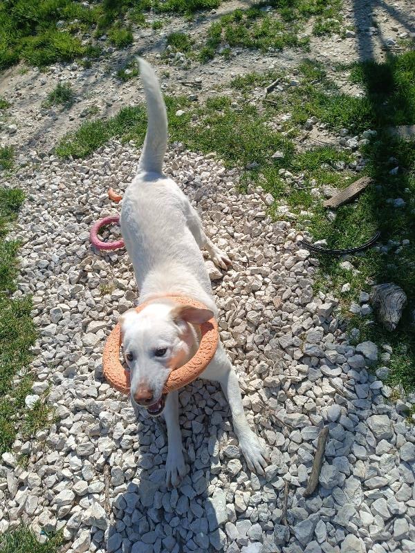 Casper Foto 5