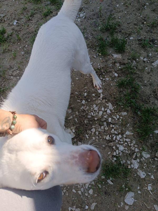 Casper Foto 10