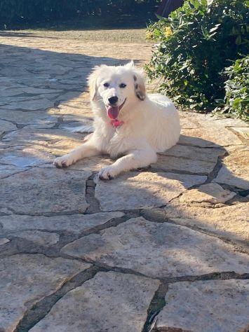 Gulliver Foto 2