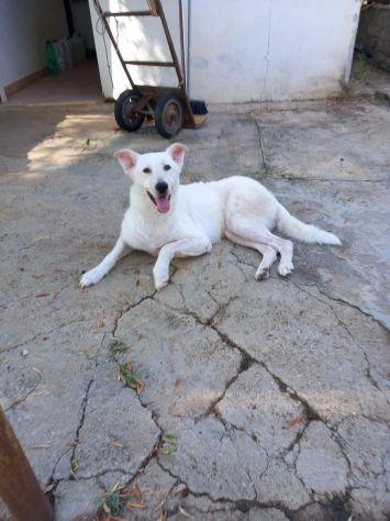 Bianca Foto 5