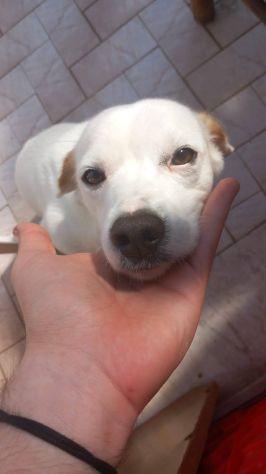 Nilo