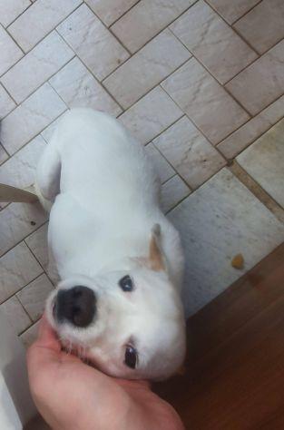 Nilo Foto 3
