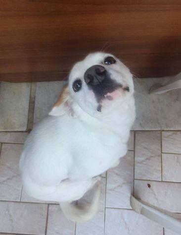Nilo Foto 4