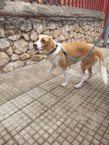 Maya Foto 6