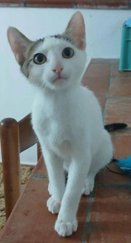 Marlon Foto 2