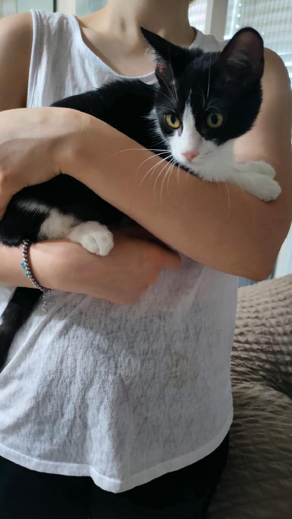 Oscar
