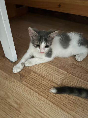 Hermes e Ares Foto 2