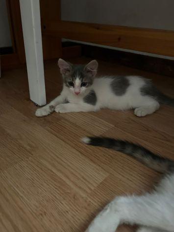 Hermes e Ares Foto 5