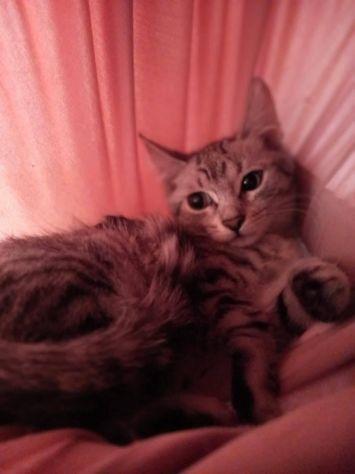 Penelope e Nana Foto 2