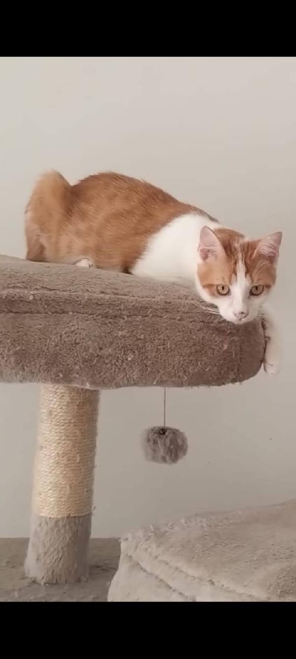 Axel Foto 2