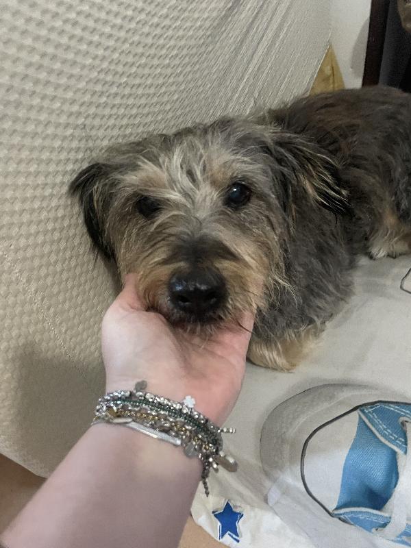 Alice 10 anni 🐶 Foto 4