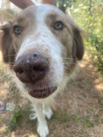 Dotty Foto 7