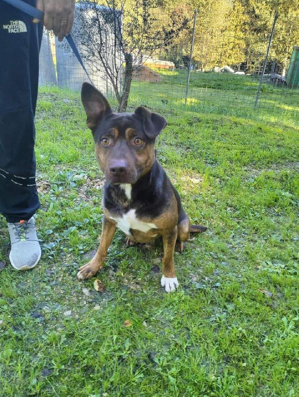 Odino Foto 2