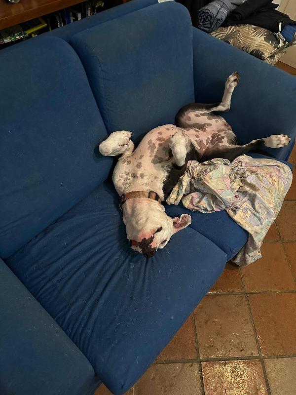 Kyra rinuncia di proprietà Foto 5