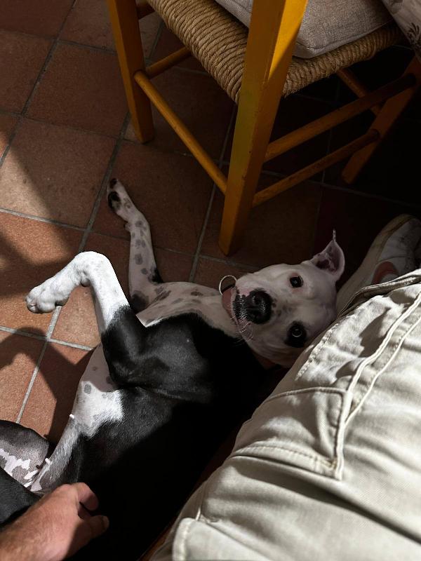 Kyra rinuncia di proprietà Foto 11