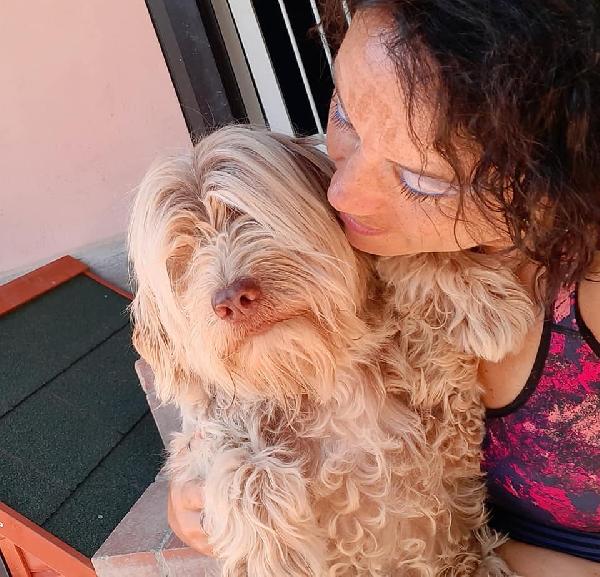 Gigi adozione cane cieco Foto 3