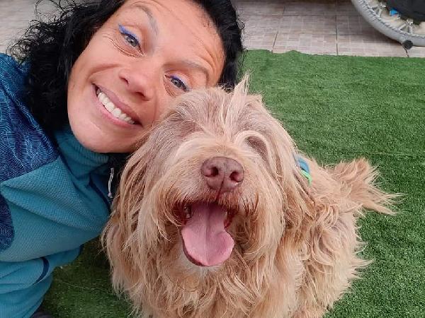 Gigi adozione cane cieco Foto 4