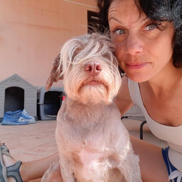 Gigi adozione cane cieco Foto 5