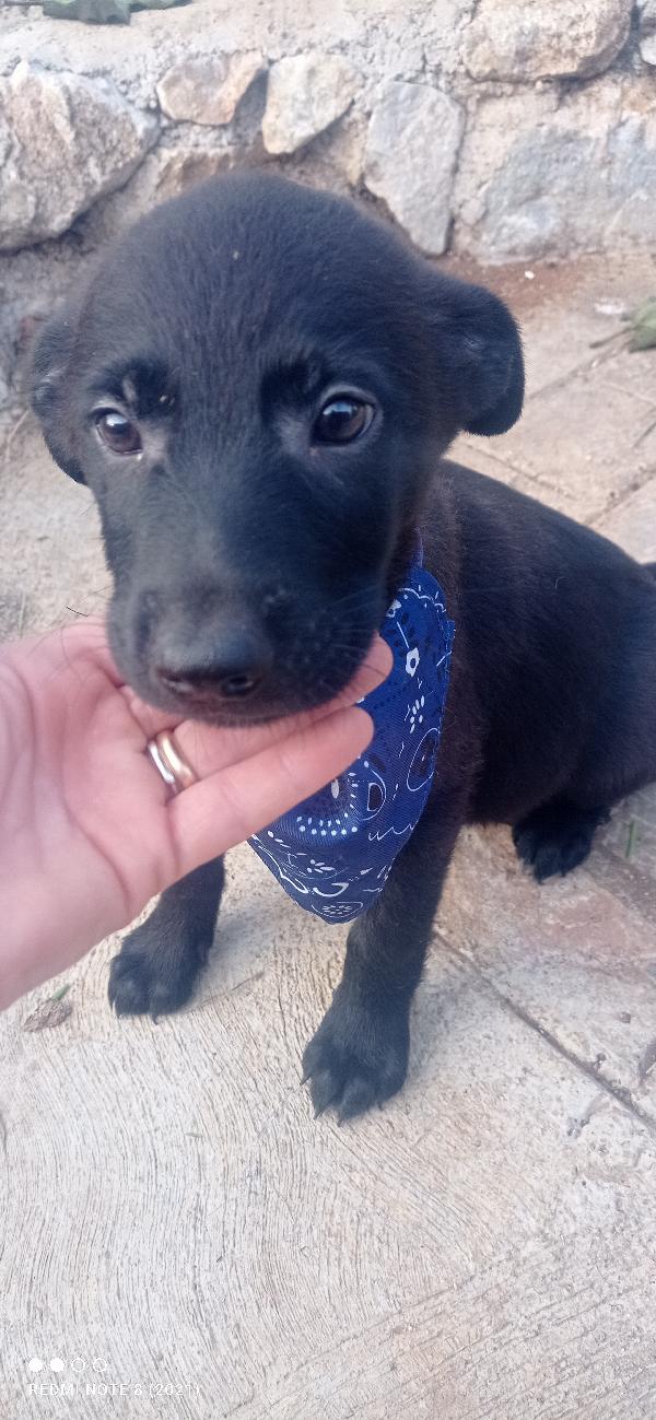 Rio 