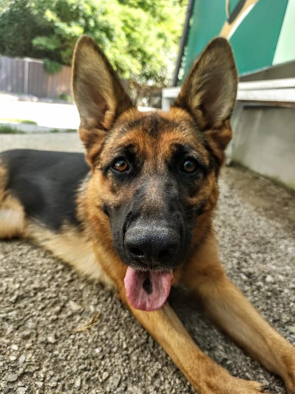 Bonnie Foto 2
