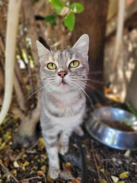 Mitzi Foto 2