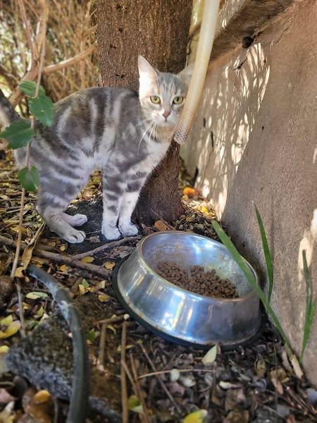 Mitzi Foto 3