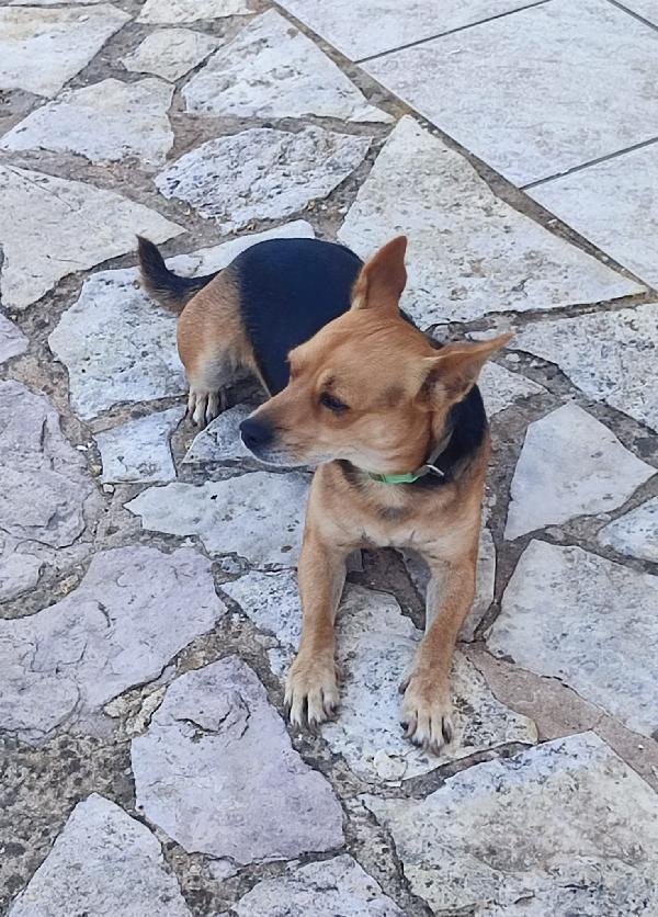4 anni Foto 2