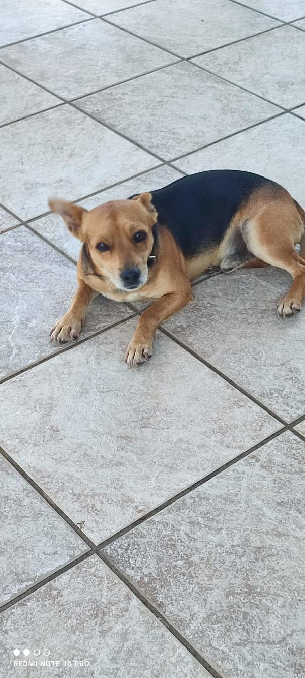 4 anni Foto 3