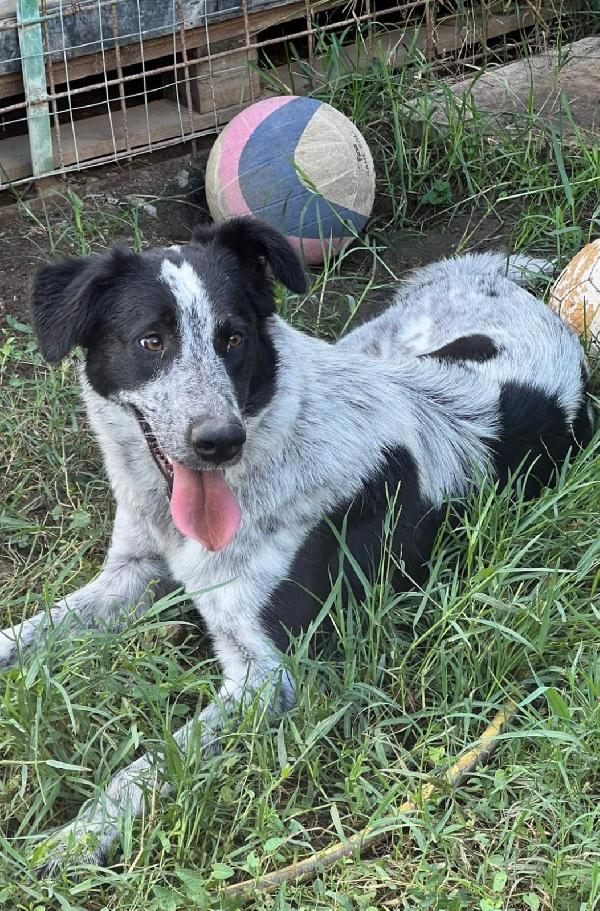 Serena💞 Foto 2