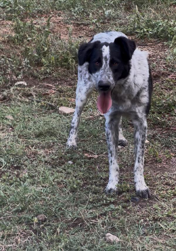 Serena💞 Foto 5