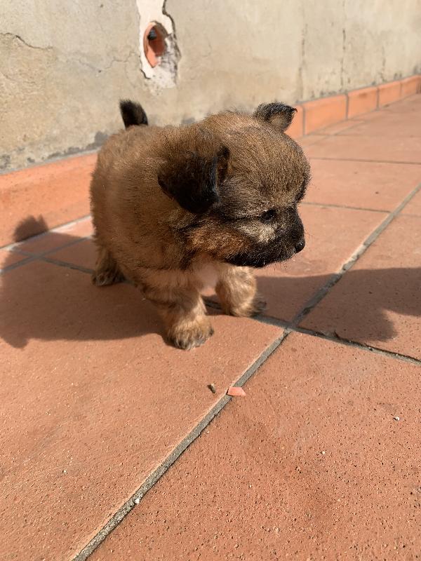 Talia Foto 2