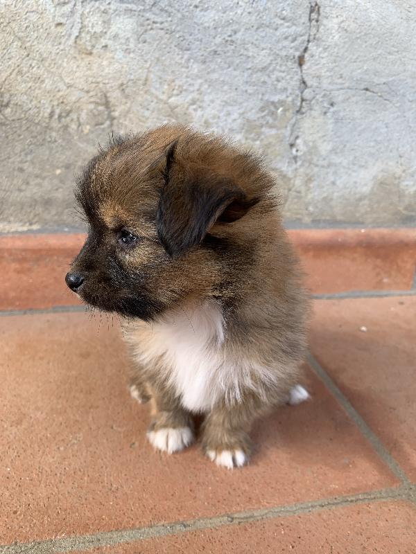 Ettore Foto 2