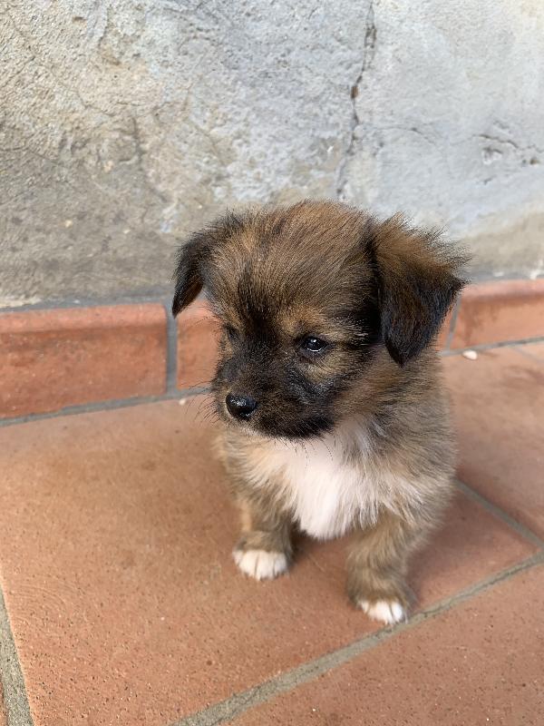 Ettore Foto 3