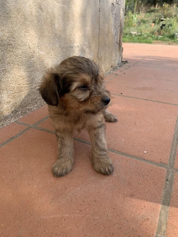 Atena