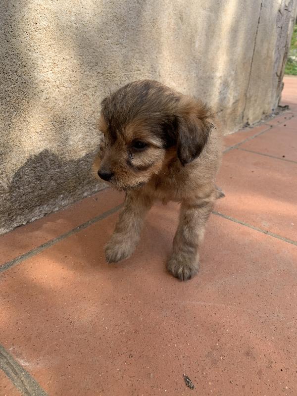 Atena Foto 2