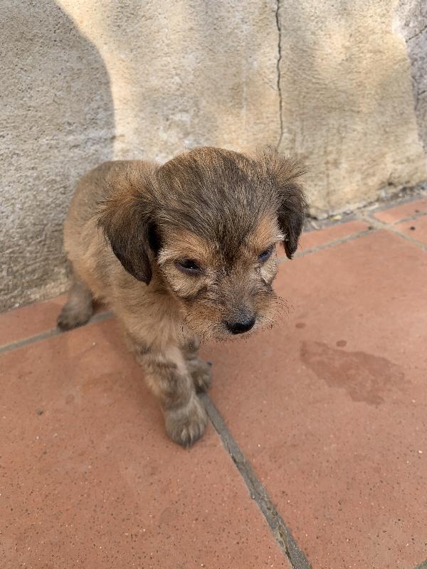 Atena Foto 3