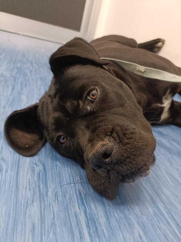 Ulisse, 10 Mesi