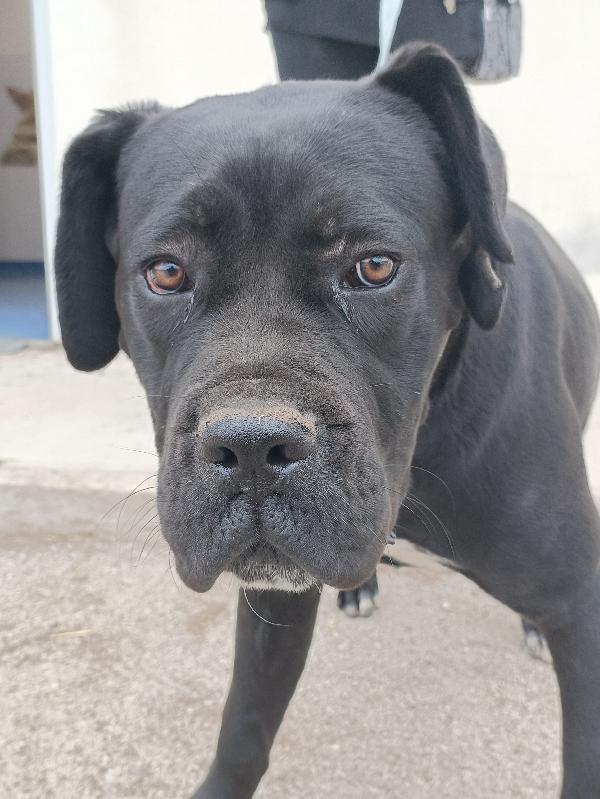 Ulisse, 10 mesi Foto 5