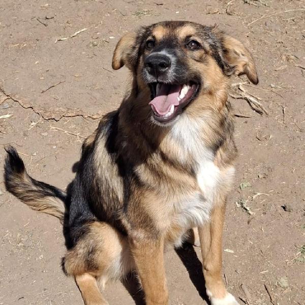 Brenda🐾💖 Foto 3