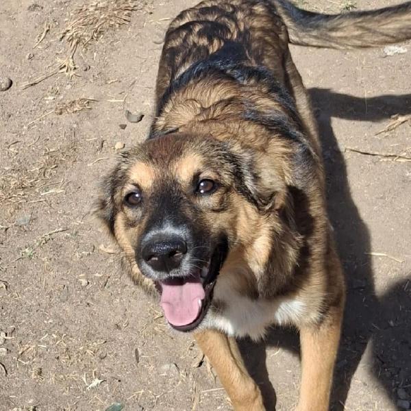 Brenda🐾💖 Foto 4