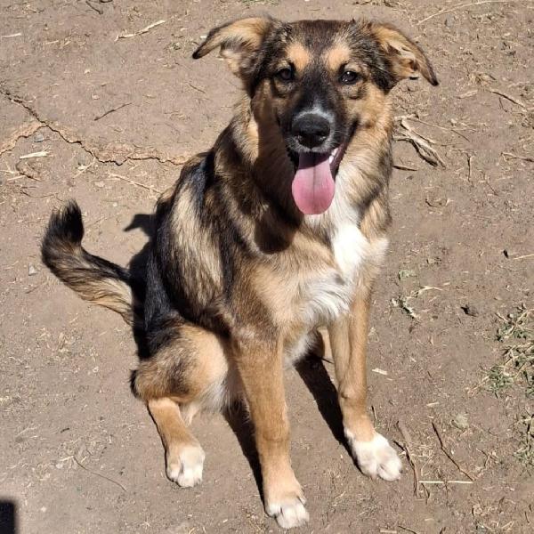 Brenda🐾💖 Foto 5