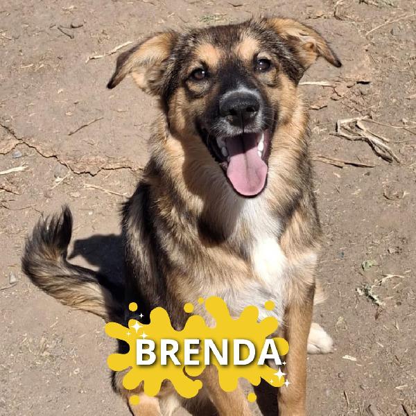 Brenda☺️☺️☺️