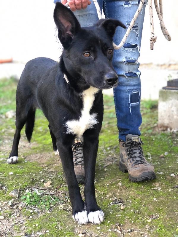 Pepita Foto 5