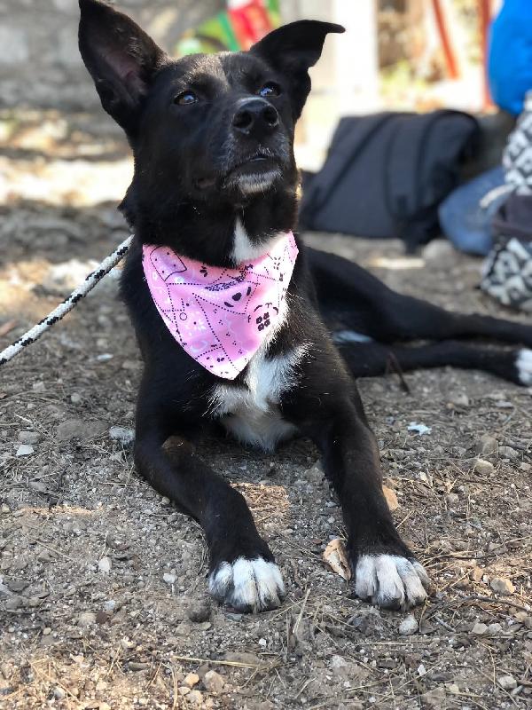Pepita Foto 6