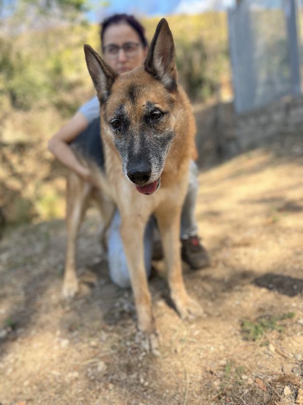 Sam