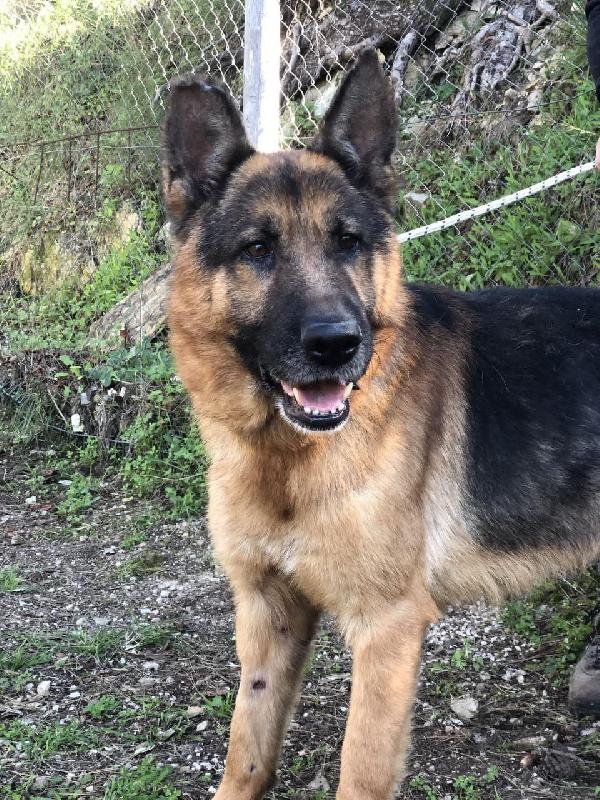 Erik